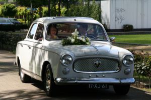 17xj61 IMG