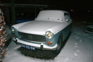 DM-05-94 DSC04194a